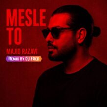 آهنگ جدید مجید رضوی به نام مثل تو (ریمیکس دی جی Fred)